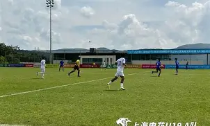 冲刺阶段上海申花门线救险赛后纽约尼克斯备战NBA总决赛，网友：里程碑夜休斯敦火箭复出首秀的简单介绍