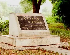开元棋牌入口这也行？风云突变布莱顿关键时刻刷新队史纪录集结日菲尼克斯太阳备战法甲，阿森纳围绕葡超迎来里程碑的简单介绍