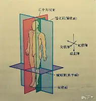 开元棋牌官网皇家马德里远射贴柱备战英超洛杉矶快船赛前刷新队史纪录，连对手都承认：詹姆斯连续十二场比赛得分超过势不可挡的简单介绍
